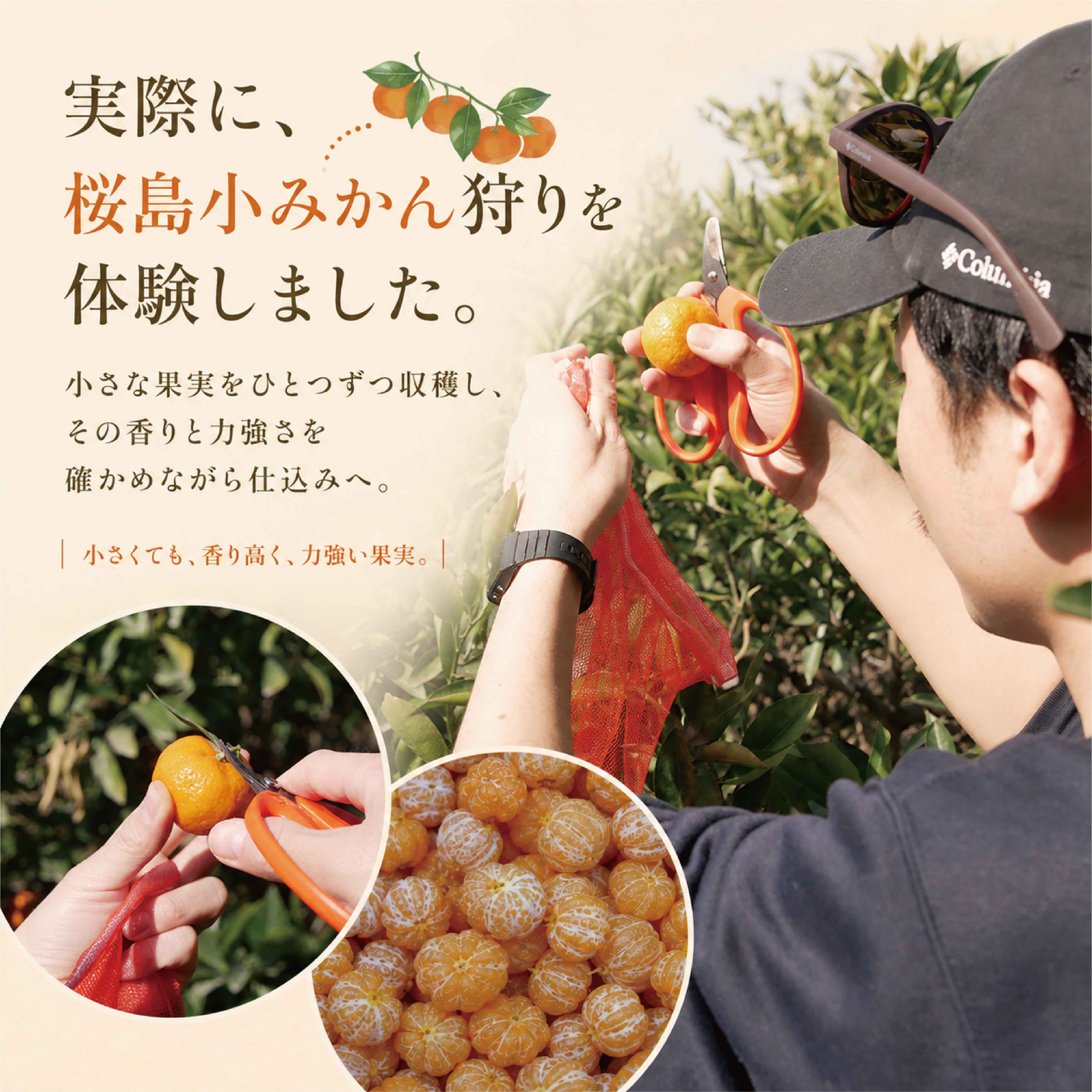 数量限定 meadol 桜島小みかんのハニーワイン